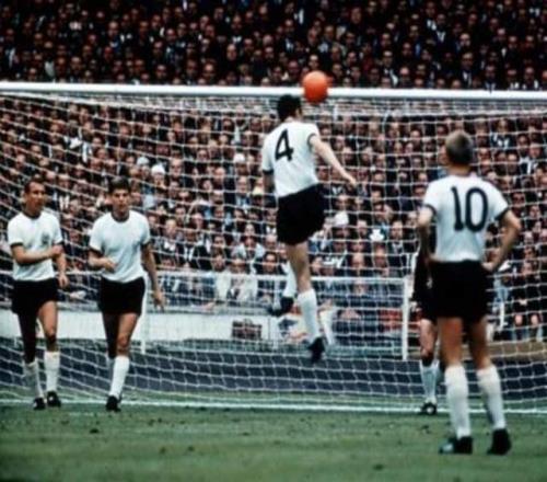 狼群主场强,势迎战重组,快船,bet365官方网站,bet365公司,bet365,bet365赛事集团,bet365体育团队,bet365直播中心