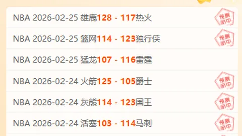 莱斯特城队官方确认 范尼担任球队主帅